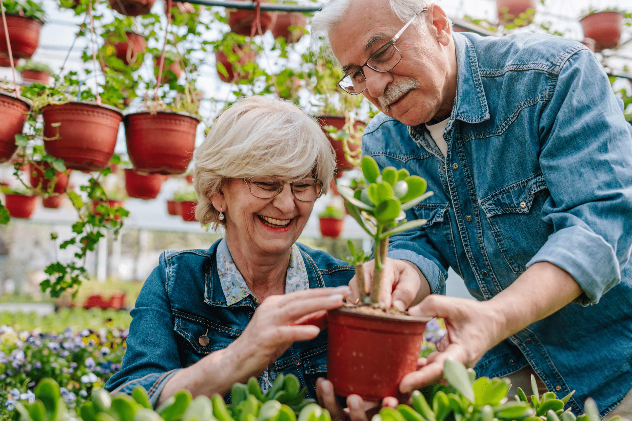 Two seniors outside enjoying looking at planted flowers on a sunny day.